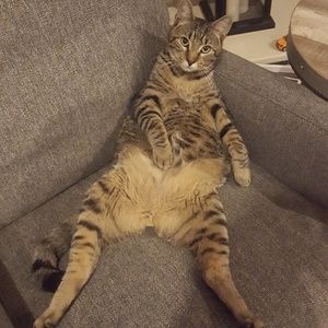 Meet your Posher, Allison